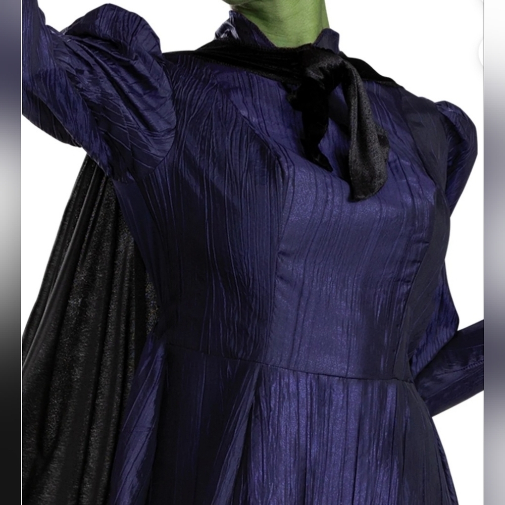 New Wicked for good Elphaba Deluxe Adult Costume Costume, cosplay dress, L 12/14 - Picture 4 of 9